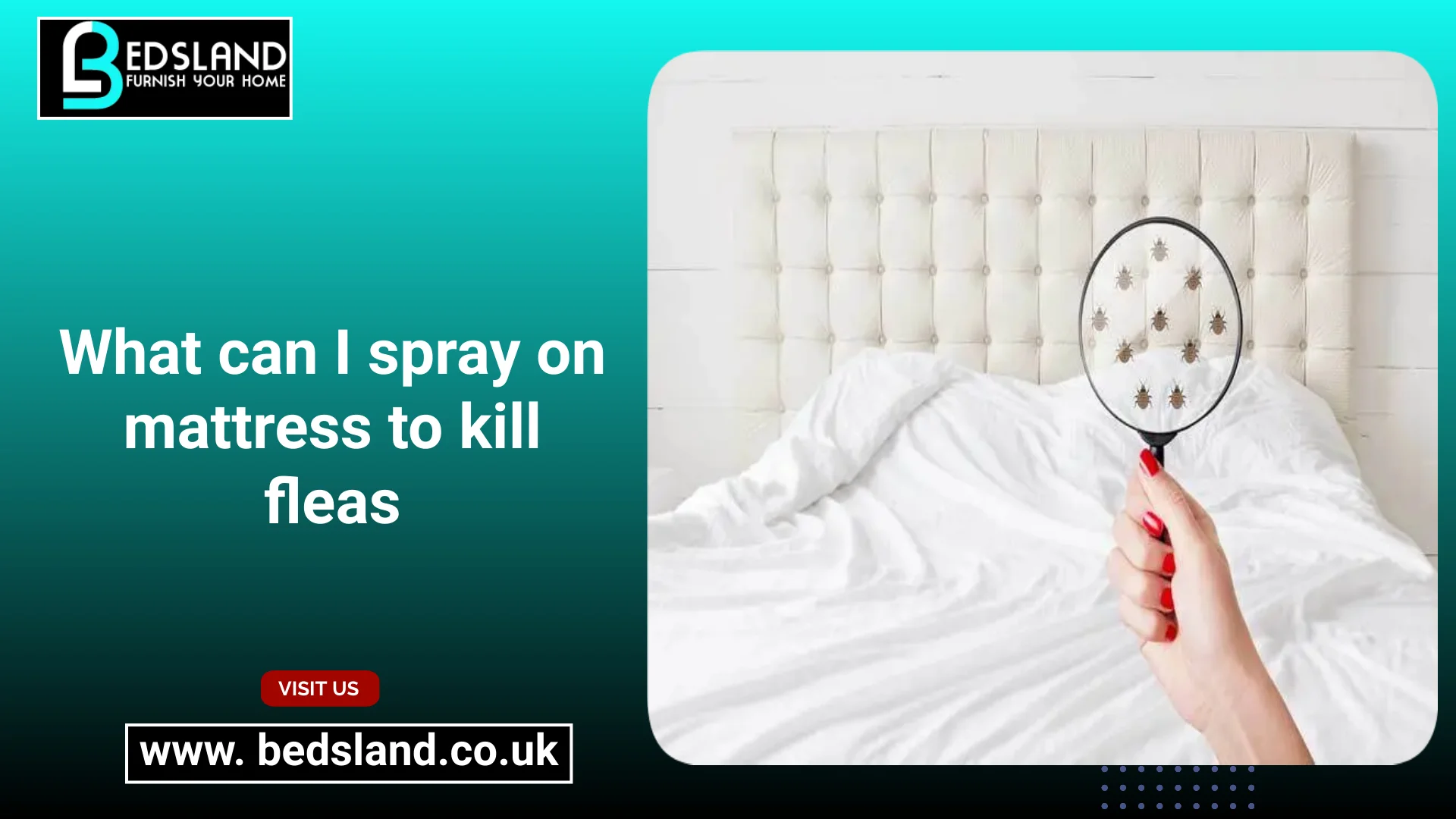 What can I spray on mattress to kill fleas Bedsland Furniture