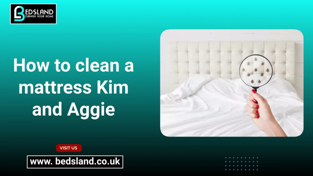 How to clean a mattress Kim and Aggie