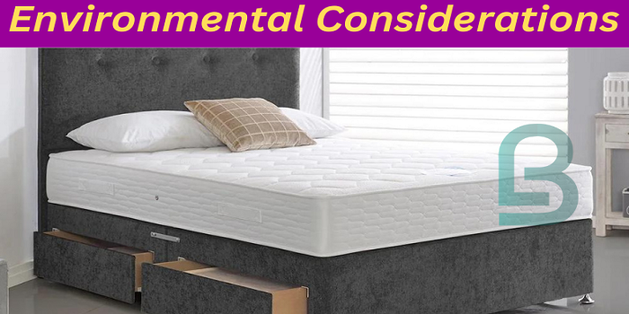 Environmental Considerations