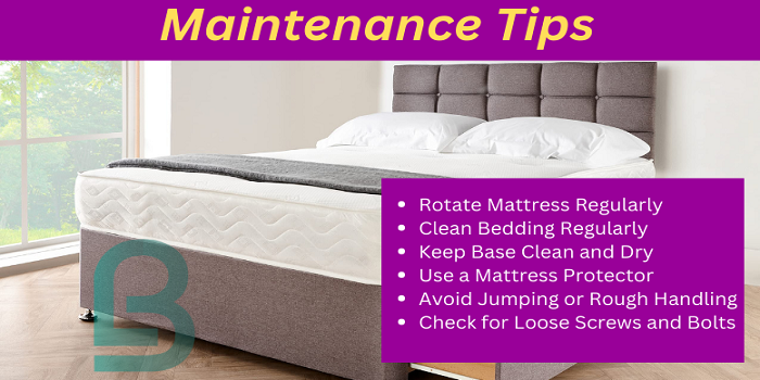 Maintenance Tips